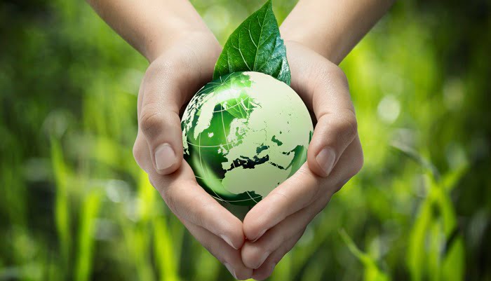 Ecotechnology