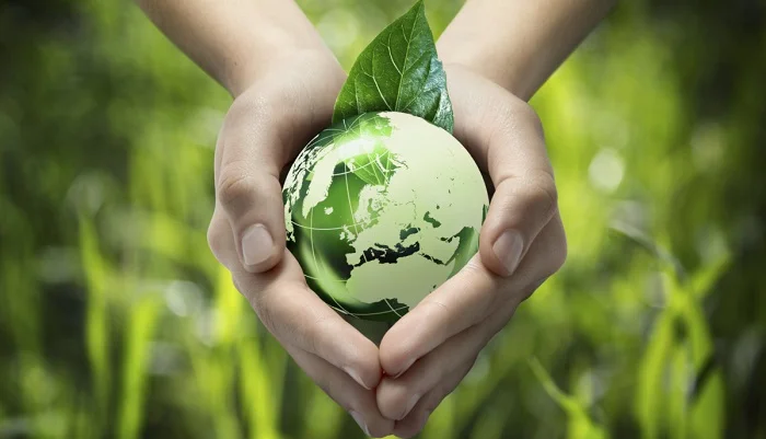 Ecotechnology