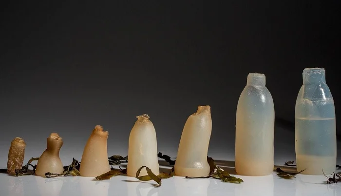 The great ecological inventions of history