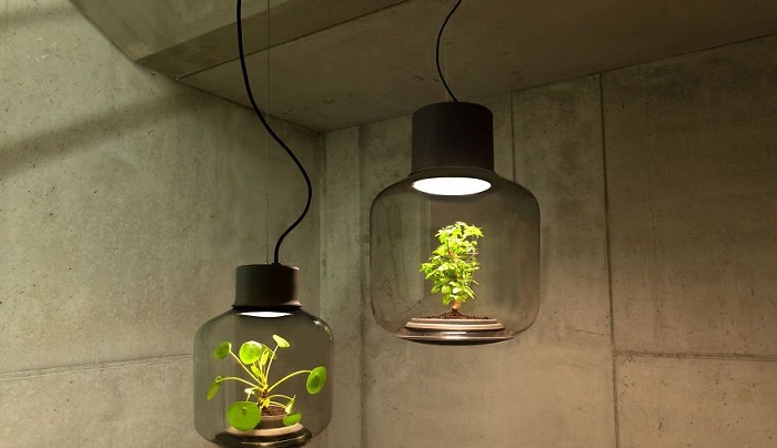 ecological inventions
